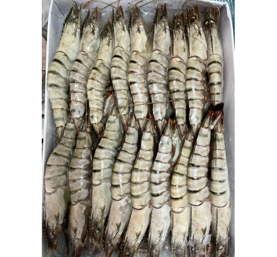 TÔM SÚ QUẢNG CANH ĐÔNG LẠNH